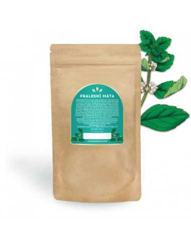 Pralesná mäta 60 g