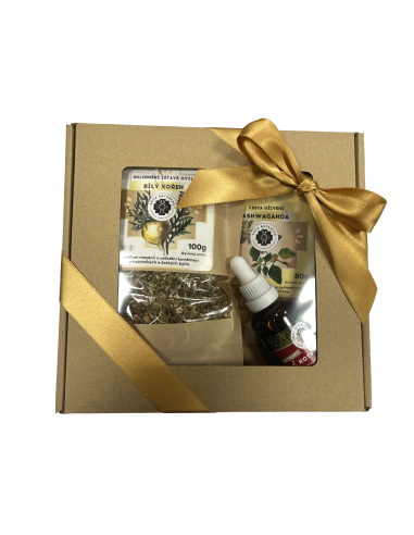 PRAMEŇ ŽIVOTA - darčekový balíček